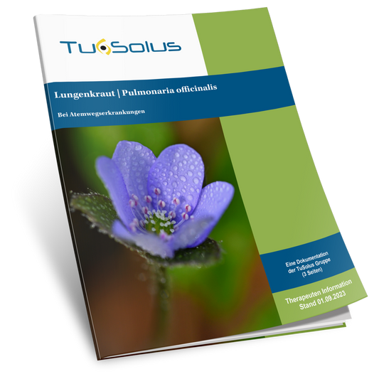 Pulmonaria - Información para terapeutas