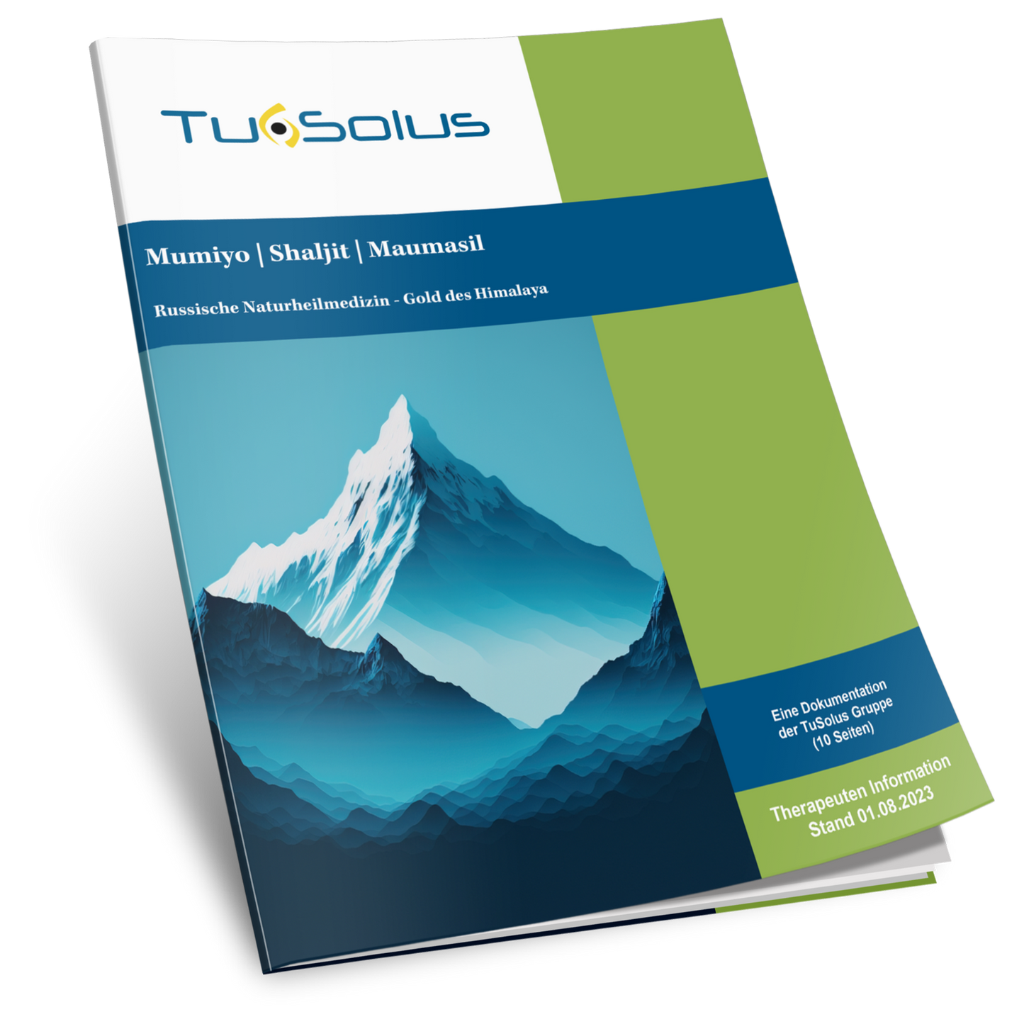 Mumijo | shilajit | Maumasil - información del terapeuta