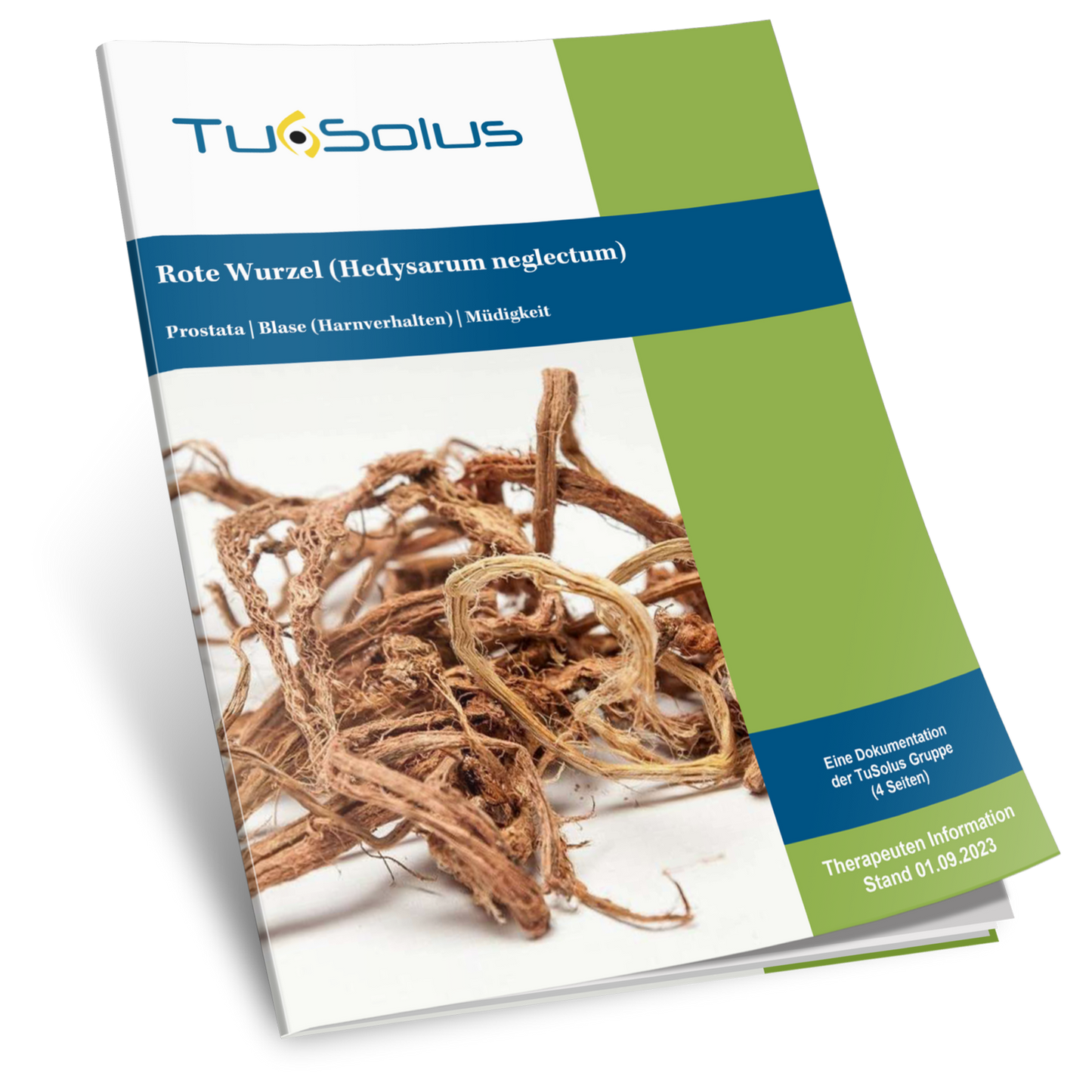 Red Root - Información para terapeutas