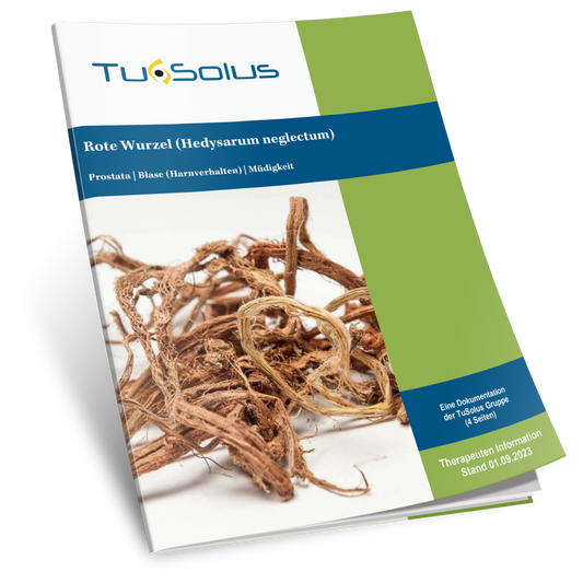 Red Root - Información para terapeutas