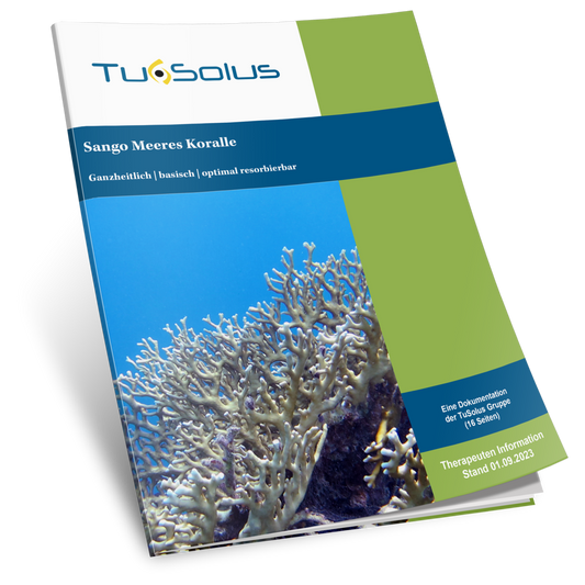 Coral marino Sango de Okinawa - Información para terapeutas