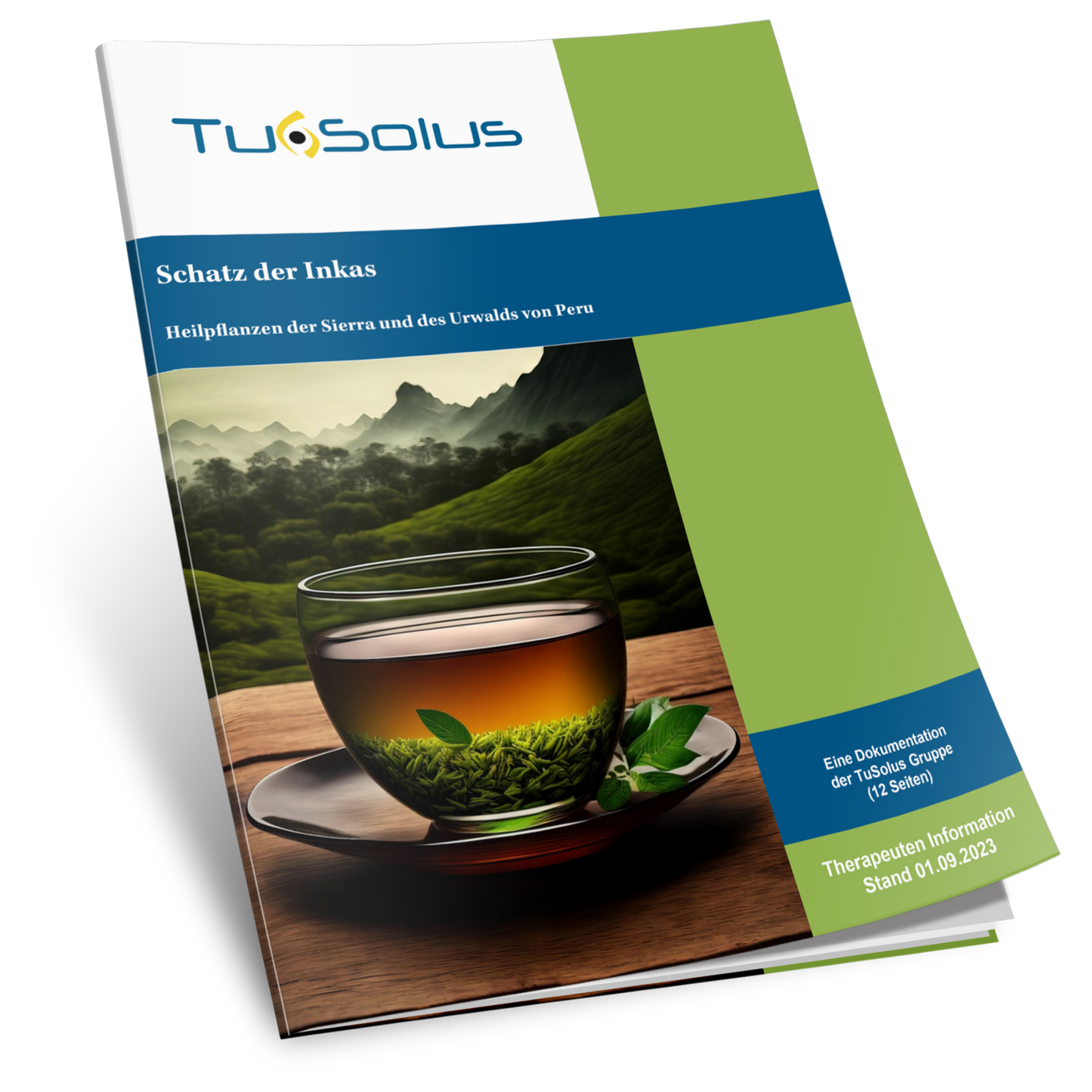 Tesoro del té de los Incas - Información para terapeutas