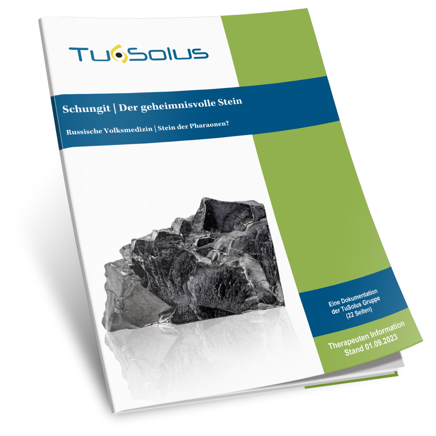 Información para terapeutas sobre la shungita