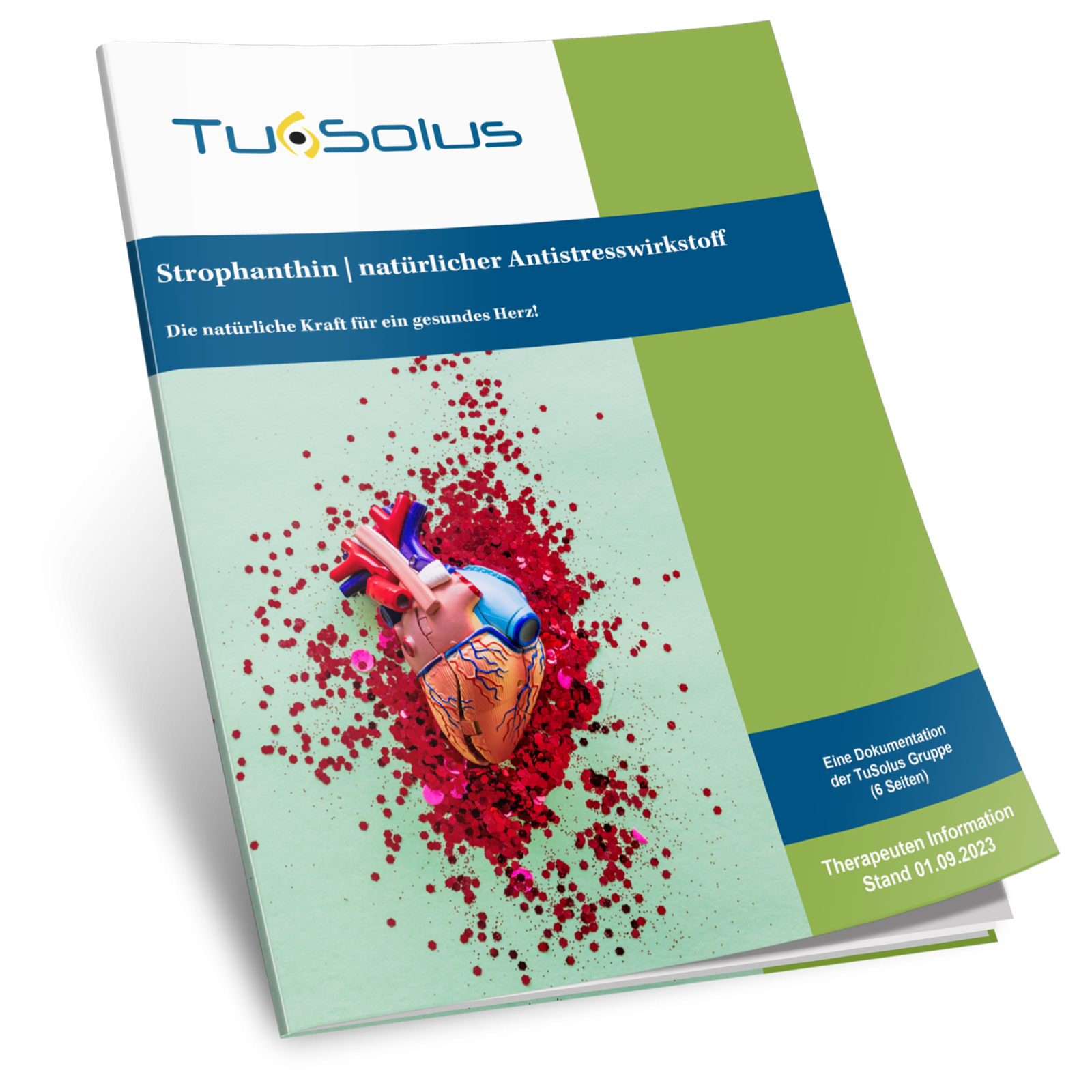 Estrofantina - Información para terapeutas