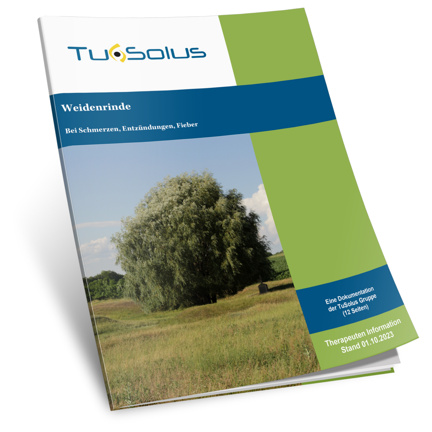 Corteza de sauce - Información para terapeutas