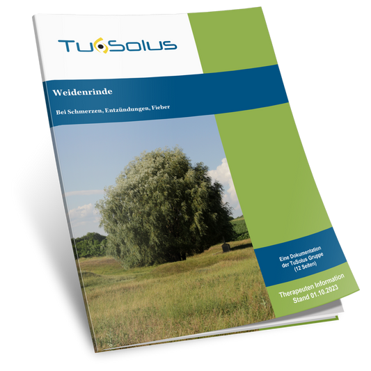 Corteza de sauce - Información para terapeutas