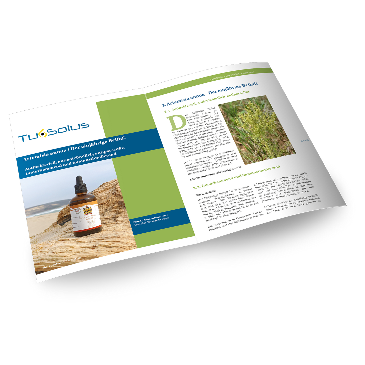 Compendio de sustancias medicinales famosas y olvidadas