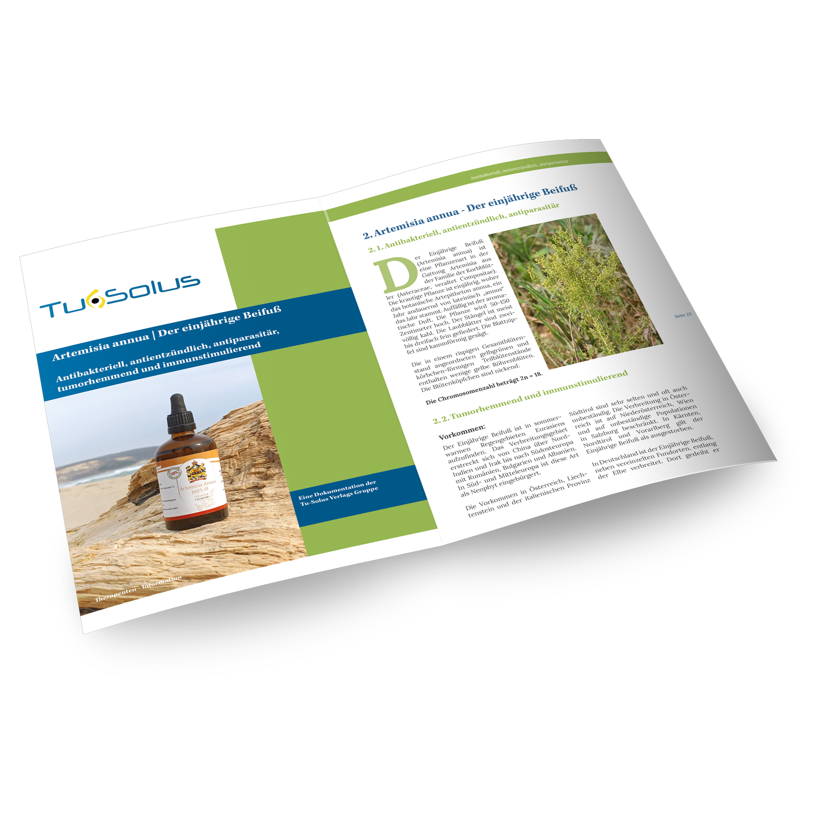 Compendio de sustancias medicinales famosas y olvidadas