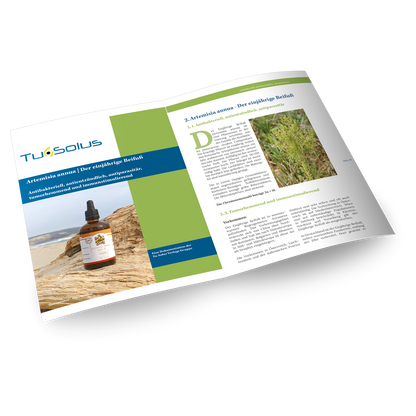 Compendio de sustancias medicinales famosas y olvidadas