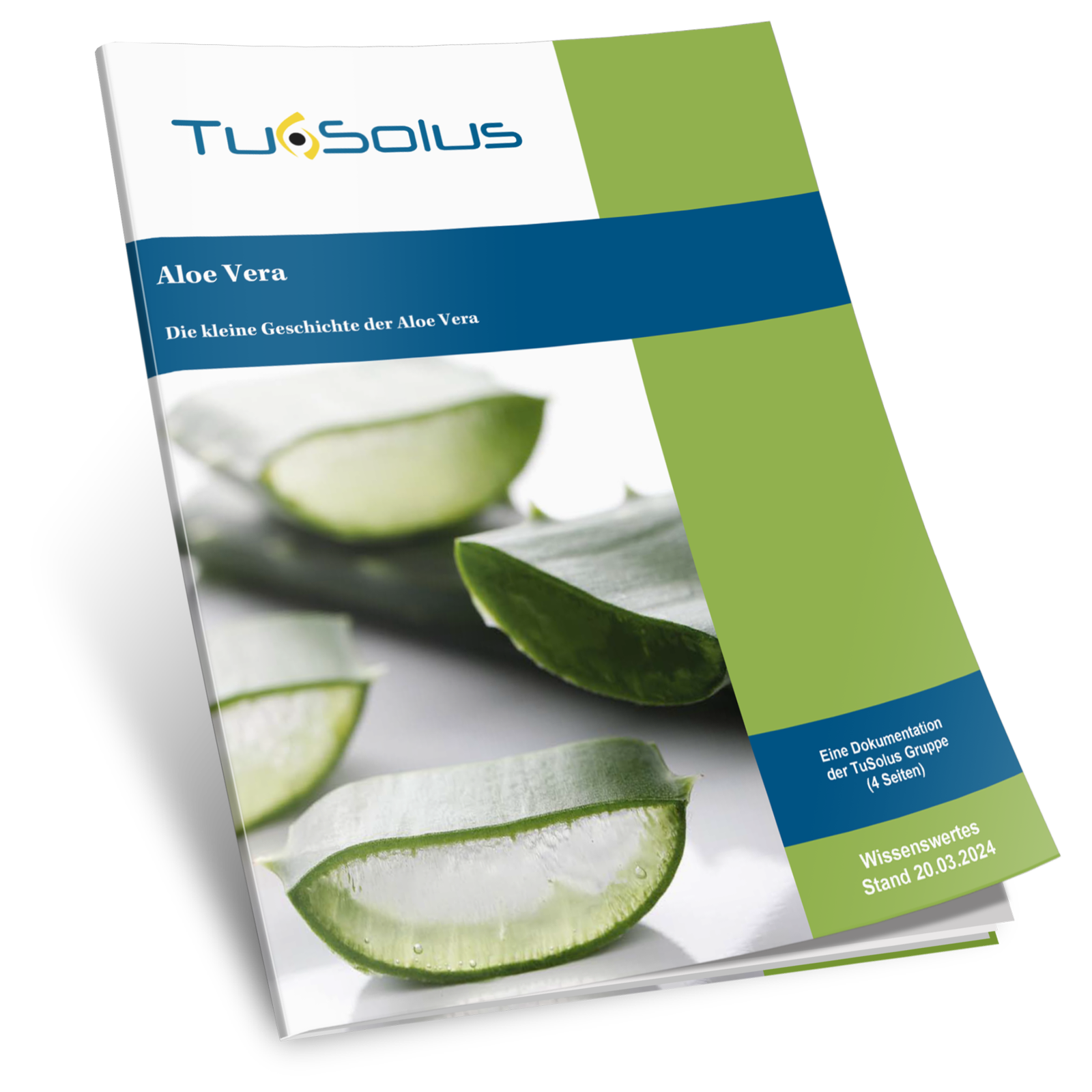 Aloe vera - Die Geschichte - Therapeuteninfo